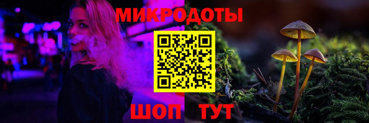 Псилоцибиновые грибы Psilocybe Белгород